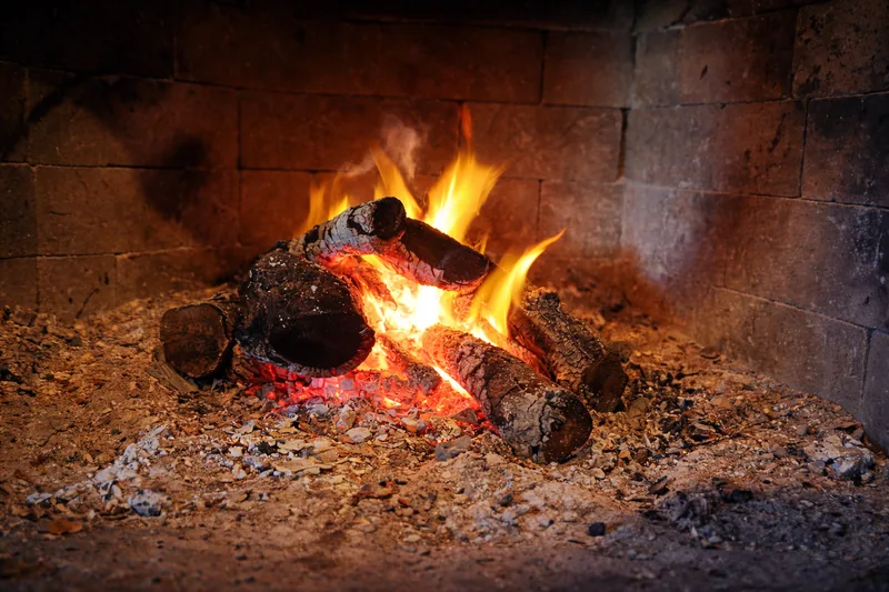 Fuego de la parrilla